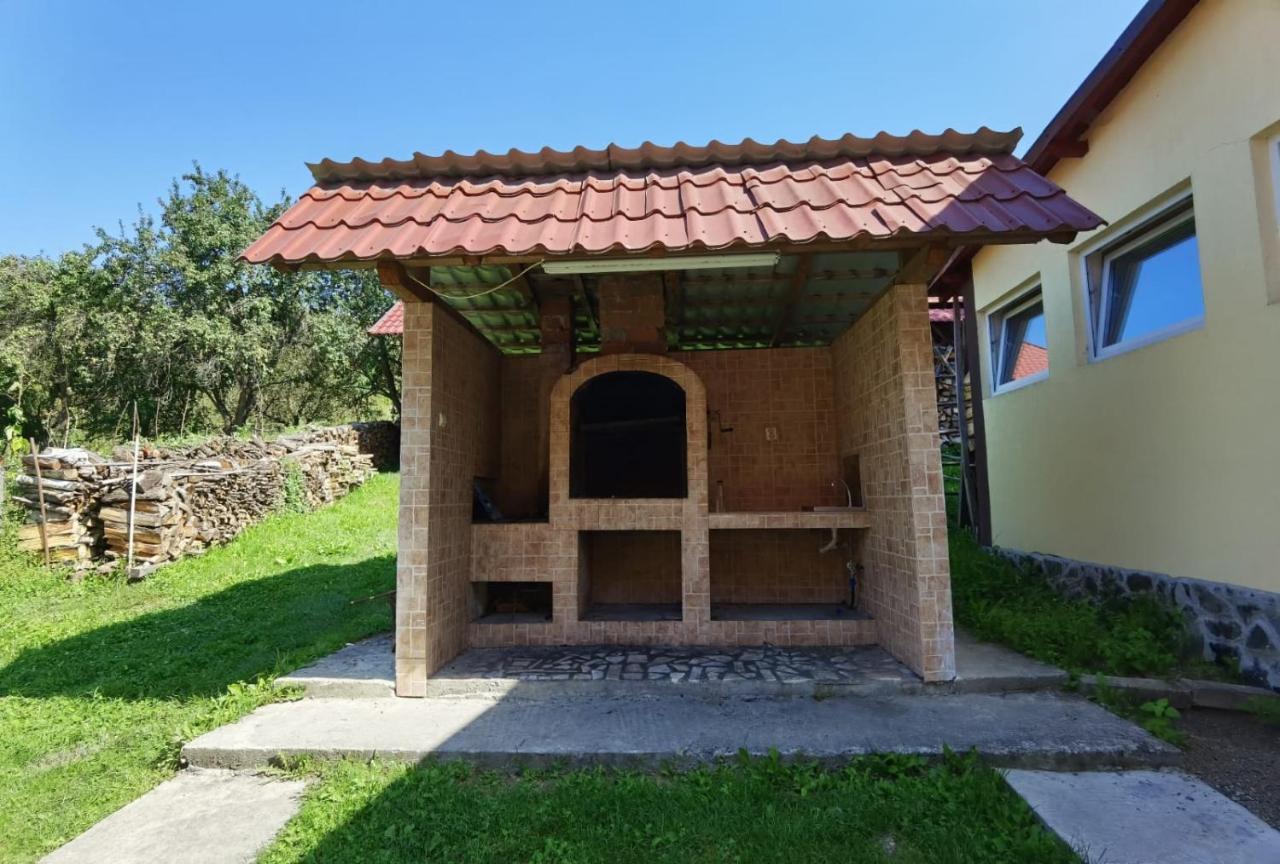 Casa Dobrin Hotel Arefu Exterior photo